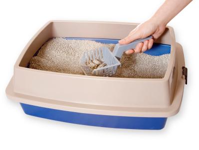 how to clean cat litter