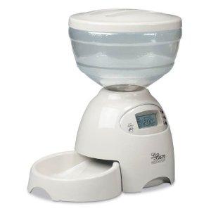 Types Of Automatic Cat Food Feeders Lovetoknow