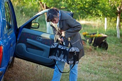 Woman putting cat carrier in the car