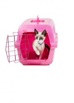 Cat carrier