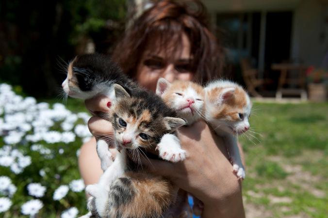 Woman Holding Four Kittens