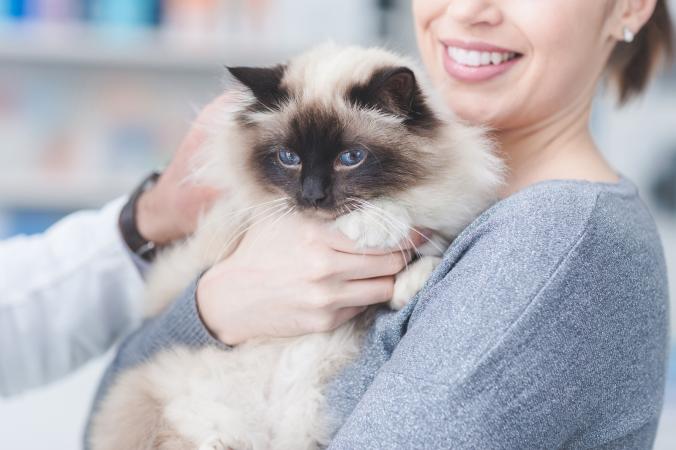 Woman holding her cat at the vet