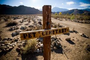 Image of a pet cemetery in the desert