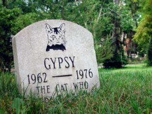 A cat's grave