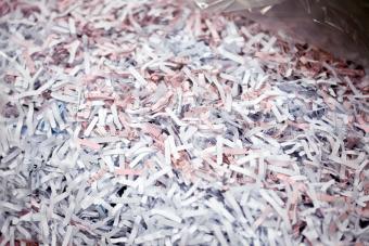 Pile of shredded paper