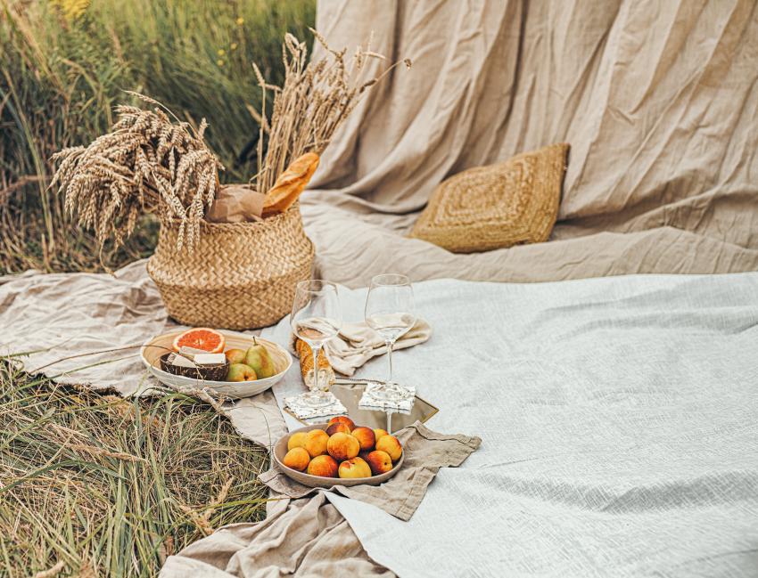 13 Picnic Decor Ideas for Cozy Couples & Posh Parties | LoveToKnow