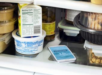 Lost Smart Phone In Fridge