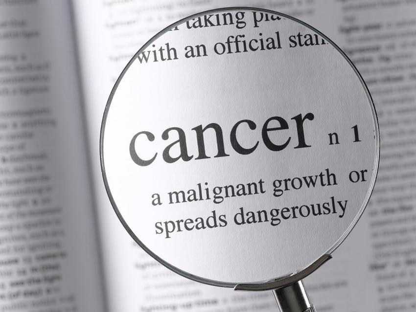 7 Popular Cancer Research Charities LoveToKnow