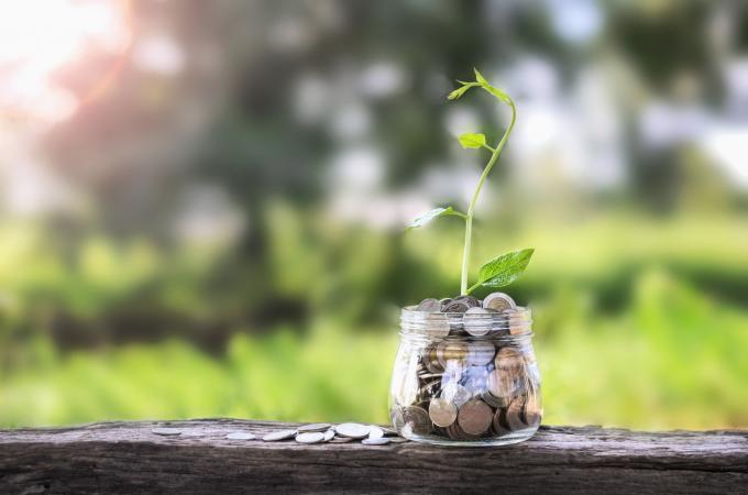 money and small plant in jar