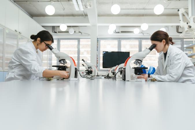 Laboratory technicians using microscopes in lab