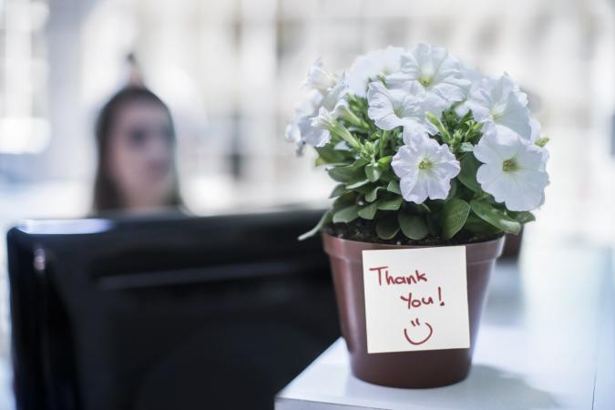 Potted plant with thank you note on office table