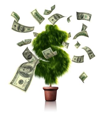 tree fundraiser