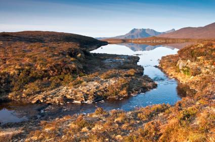 Wilderness landscape