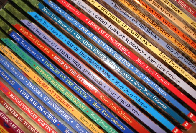 Magic Treehouse books photo by Glenda Borchelt
