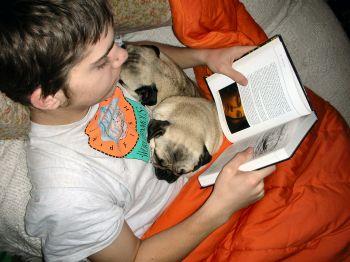 Child reading with a blanket