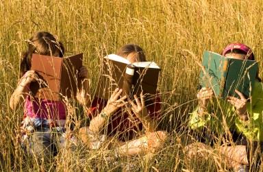 Chapter books for book clubs.