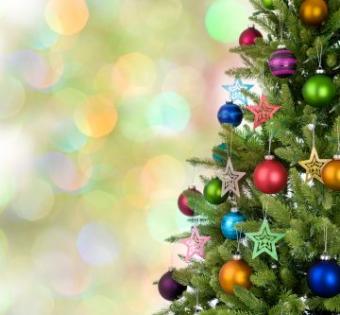 christmas tree close up
