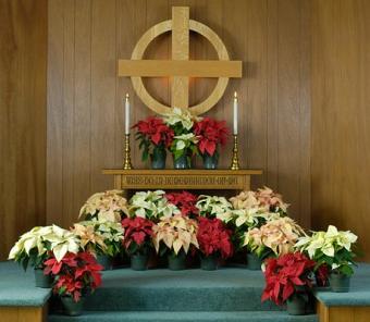 https://cf.ltkcdn.net/christmas/images/slide/127841-459x400-xeve1.jpg
