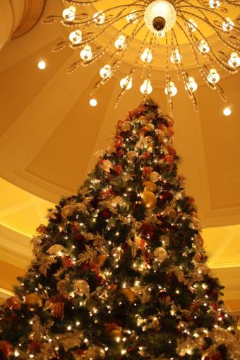 https://cf.ltkcdn.net/christmas/images/slide/155082-566x848r1-ElegantChristmasTree.jpg