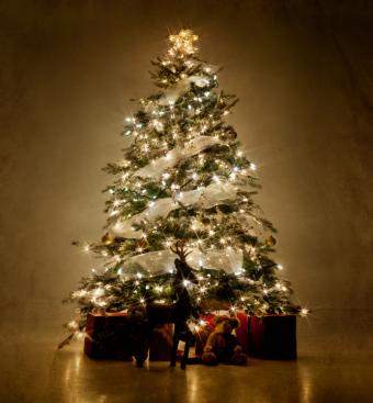 https://cf.ltkcdn.net/christmas/images/slide/162312-667x720-WhiteLightTree.jpg