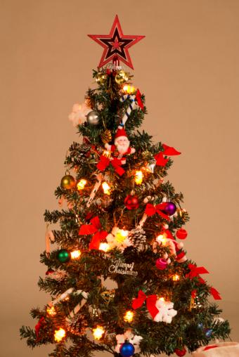 https://cf.ltkcdn.net/christmas/images/slide/162313-567x847r1-FamilyOrnamentTree.jpg