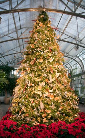 https://cf.ltkcdn.net/christmas/images/slide/170124-522x850-ElaborateTree.jpg