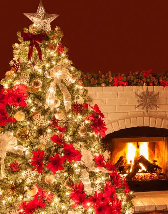 https://cf.ltkcdn.net/christmas/images/slide/183205-668x850-gold-bows-red-poinsettias.jpg