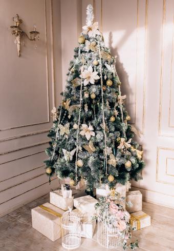 https://cf.ltkcdn.net/christmas/images/slide/275797-591x850-christmas-tree-ideas-frost.jpg