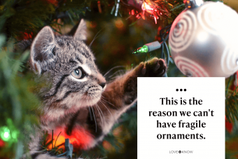 Christmas Tree Caption for Pets