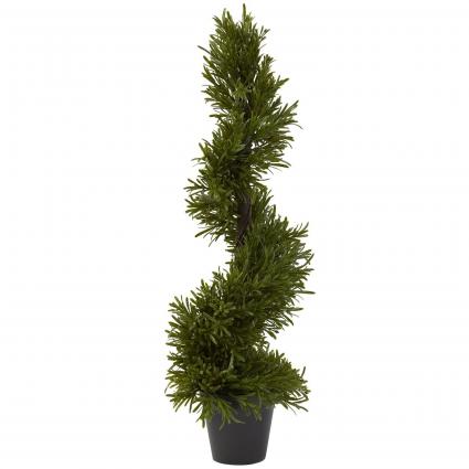 Rosemary Topiary