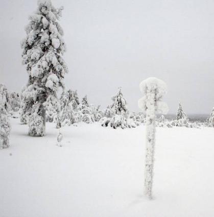 North Pole