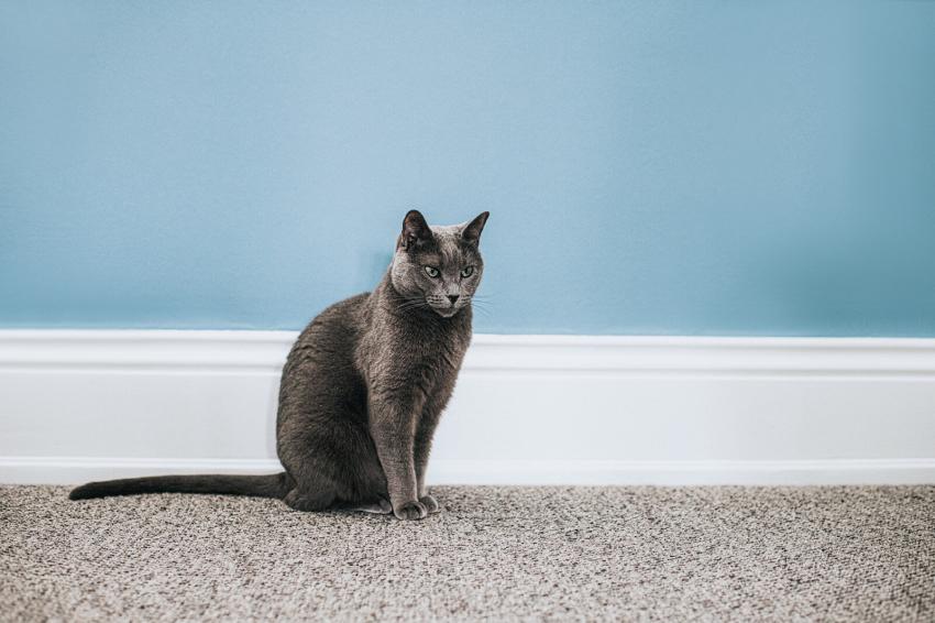 40+ MindBlowing Magic Eraser Cleaning Hacks LoveToKnow