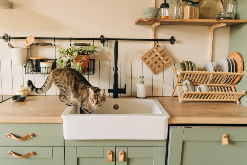 25 Genius Uses for Baby Wipes to Make Your Life Easier LoveToKnow