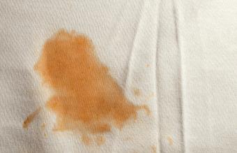 Remove tomato sauce deals stain