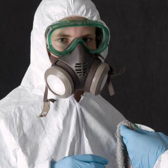 How to Remove Black Mold Safely