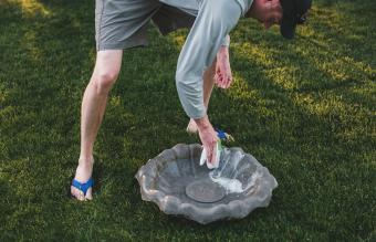 Man scrub brush to clean bird bath