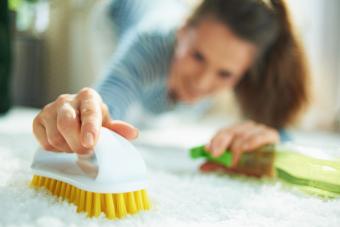 woman with cleaning agent and brush clean carpet