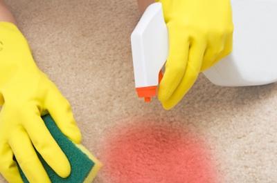 Cleaning a red stain from carpet.