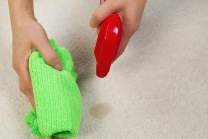 Cleaning Stain in Carpet