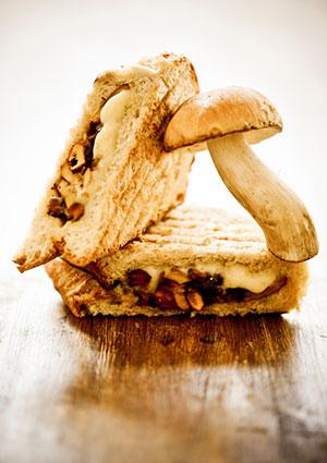 sándwich de queso con champiñones