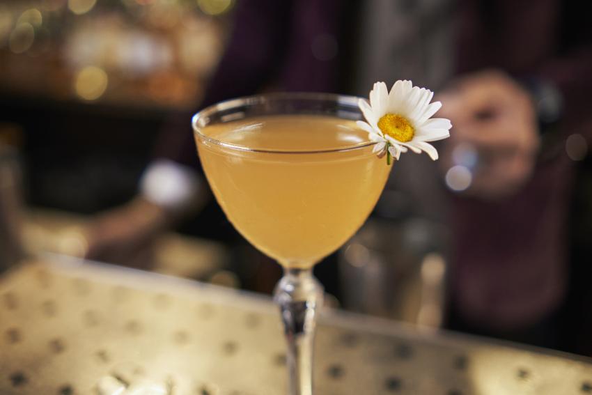 Nutty for Almonds? Try our 9 Best Orgeat Syrup Cocktails LoveToKnow