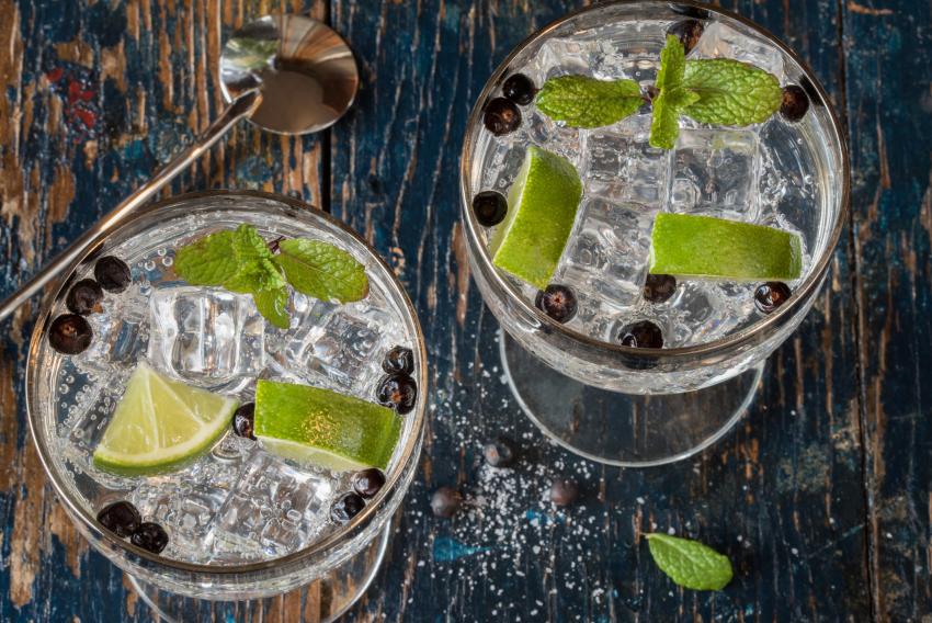 9 Revitalizing Gin Spring Cocktails With Botanical Flare LoveToKnow