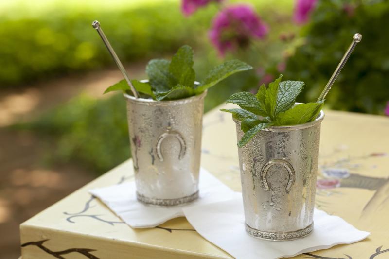 Classic Mint Julep Recipe and Winning Variations LoveToKnow