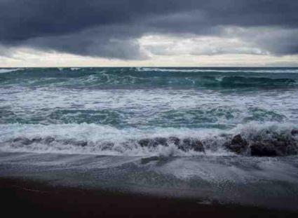 Marine biology and oceanography study the sea