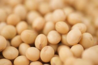 soymilkbeans.jpg