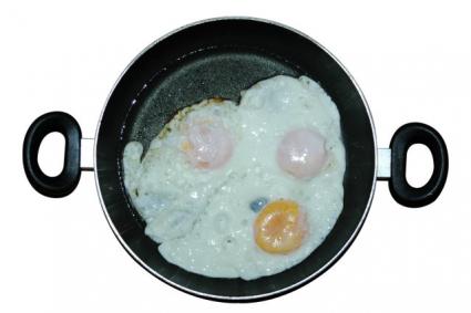 Shypoke egg