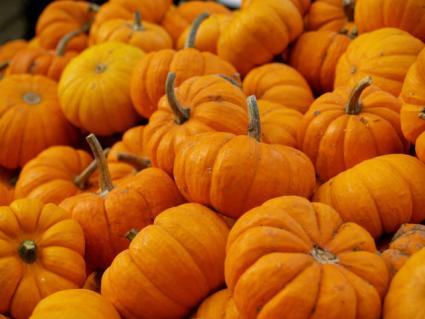 pumpkin mousse