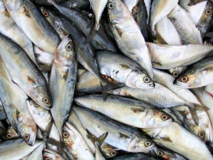 Recipes from Spain