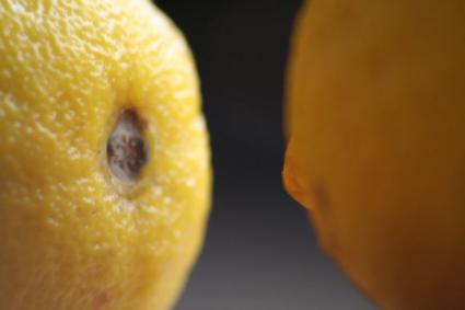 lemons