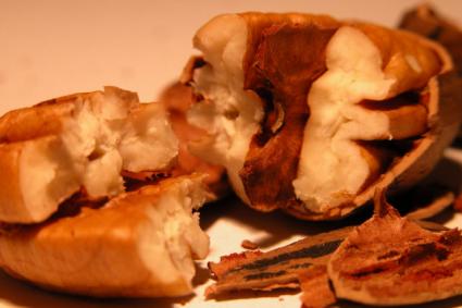 pecans